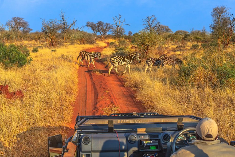 Vliegreis - Flydrive: Zuid-Afrika op het Gemak