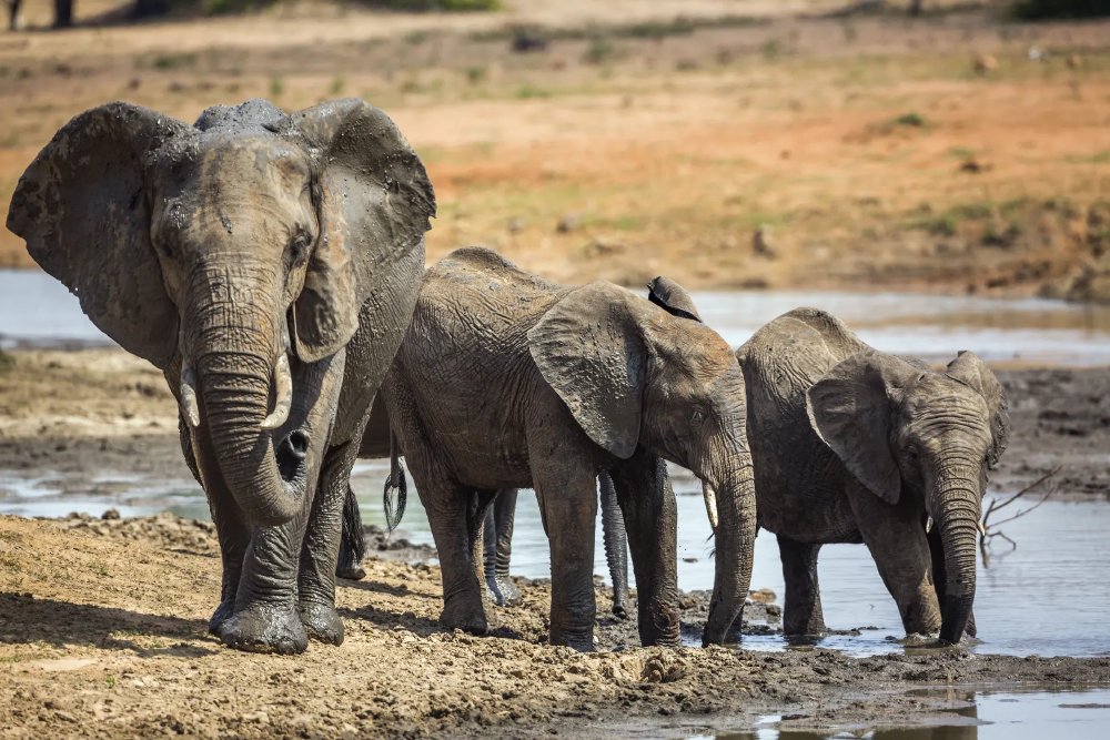 Vliegreis - Flydrive: Zuid-Afrika op het Gemak