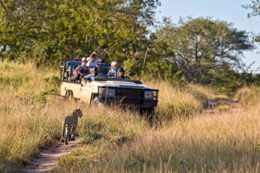 Vliegreis: Safari bij Kruger — Sefapane Lodge (10 dagen, transfers inbegrepen)