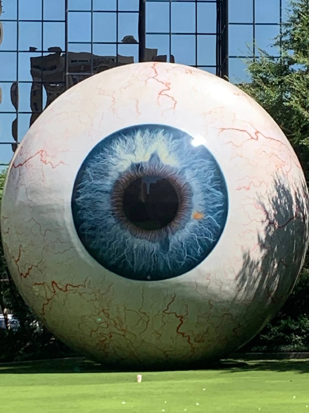 Vliegreis en autorondreis – Texas op het gemak