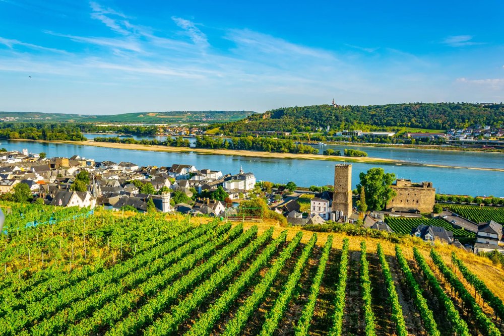 Riviercruise De Romantische Rijn met HS Amadeus Queen