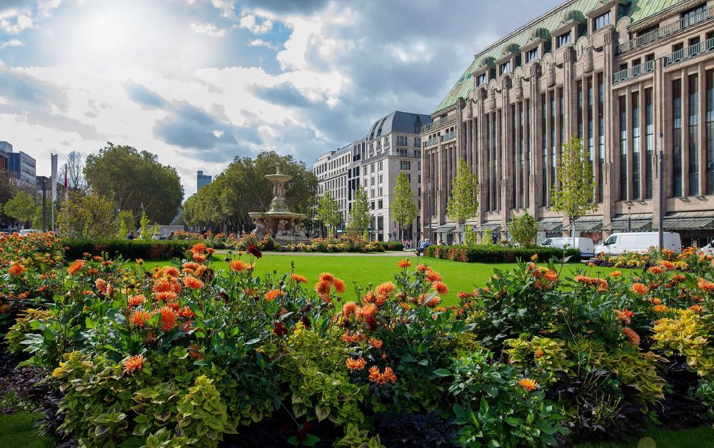 Riviercruise Rijn & Moezel: Berg- en dalvaart met HS Amadeus Riva