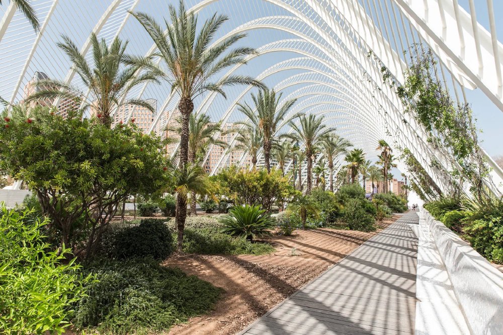 Stedentrip Parker The Urban Flats, Valencia