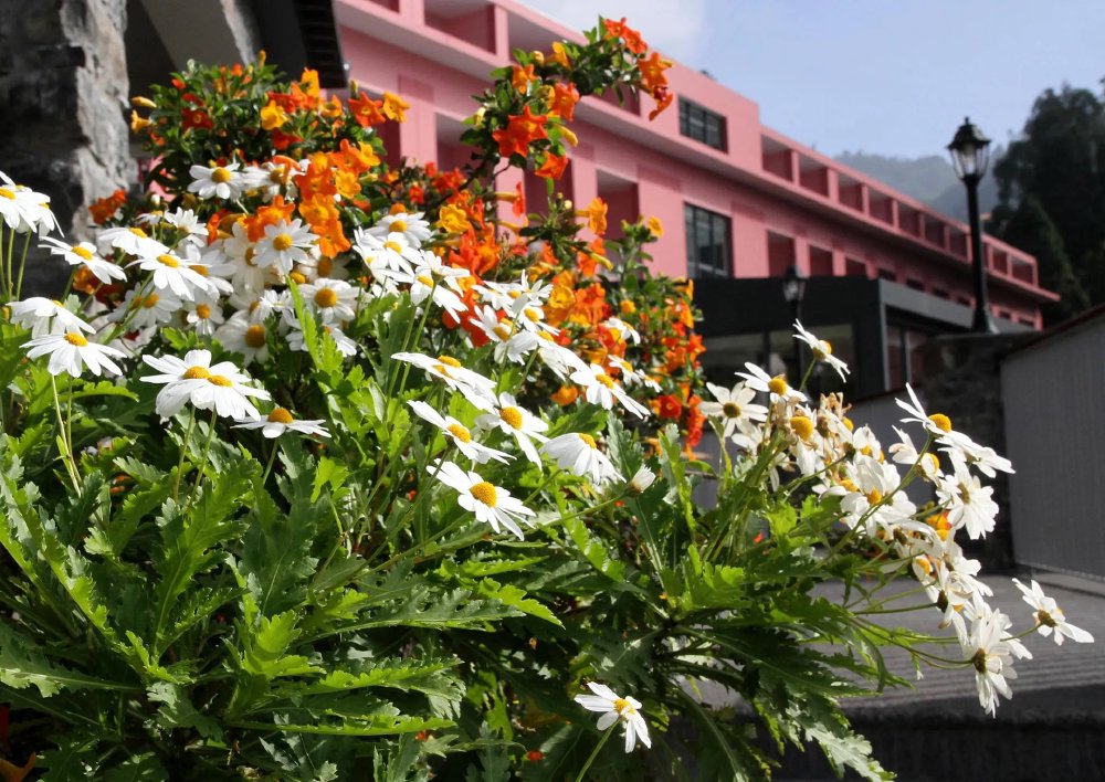 Vliegreis Quinta da Serra - Bio Hotel: Authentiek comfort in groen Madeira