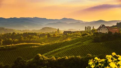 Vliegreis Andrea Bocelli: Concert in Toscane