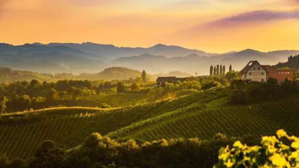 Vliegreis Andrea Bocelli: Concert in Toscane