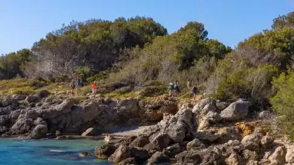 Vliegreis Wandel 4-daagse Mallorca — Hotel Diamant