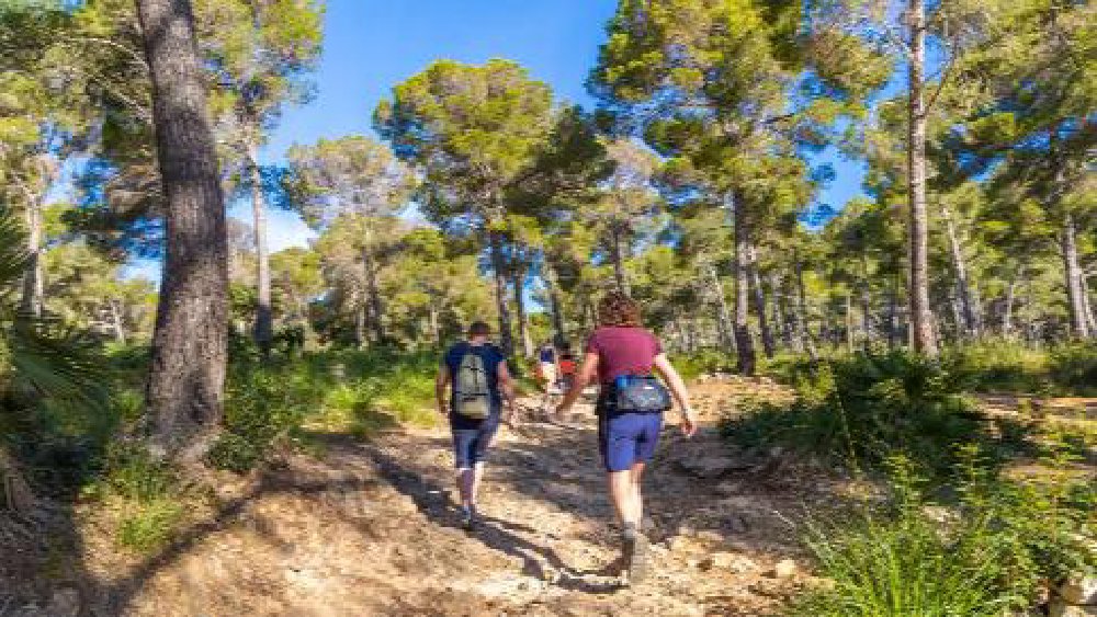 Vliegreis Wandel 4-daagse Mallorca – Hotel Parque Nereida